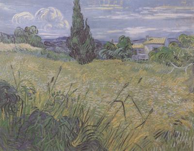 Green Wheat Field with Cypress (nn04), Vincent Van Gogh